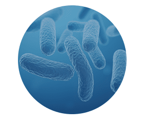 Finessa -Ingredients 7