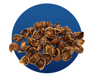 Finessa -Ingredients 4